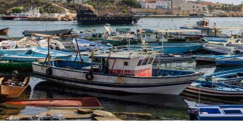 Politik der geschlossenen EU-Grenzen - Die Flüchtlingsinvasion von Lampedusa ist eine humanitäre Krise