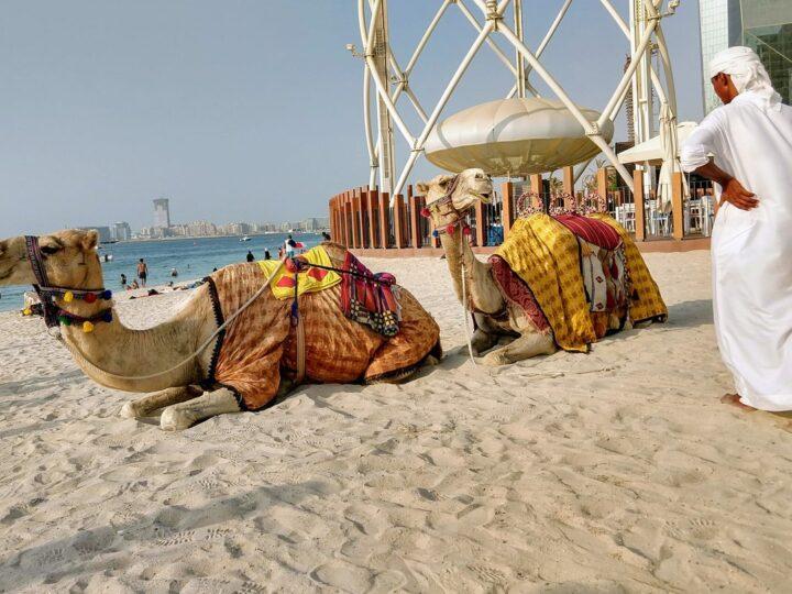 Dubai schafft Alkoholsteuer und die Lizenzgebühr ab um den Tourismus anzukurbeln