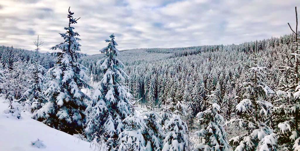 Ab in den Schnee: Top-Pistenbedingungen in Kärntner Skigebieten