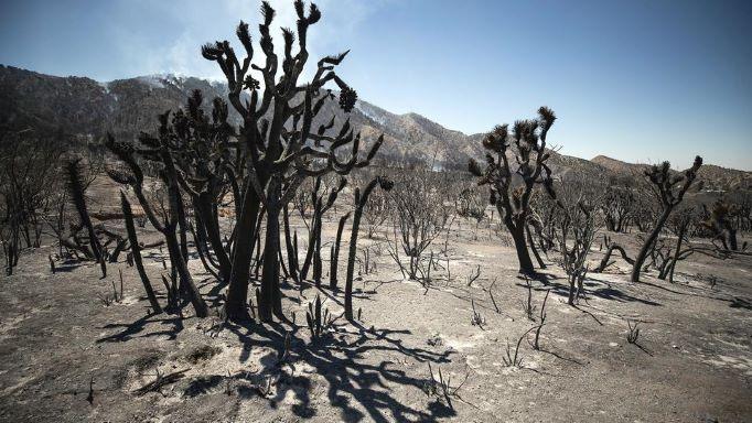 Frankreich: Dürrealarm nach dem trockensten Winter seit 1959