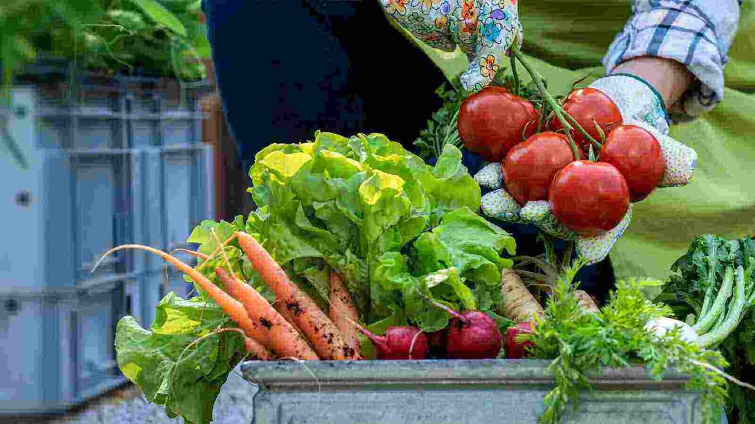 Bei Obst und Gemüse schaut die Kundschaft nach Handelsangaben stärker aufs Geld