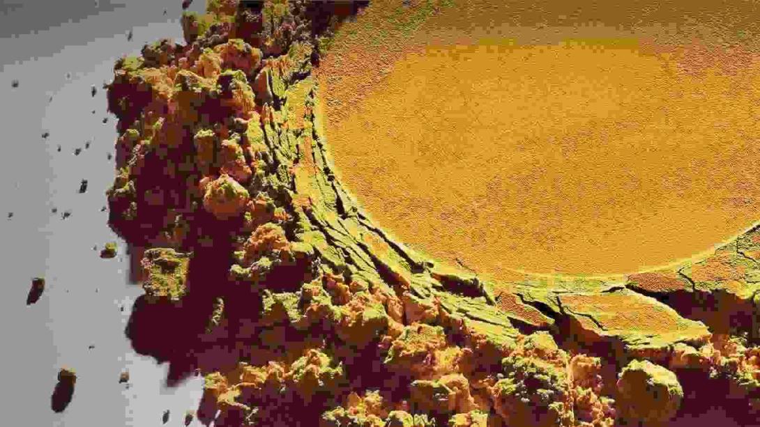 Solein: Proteinpulver zur Ergänzung von Nahrungsmitteln