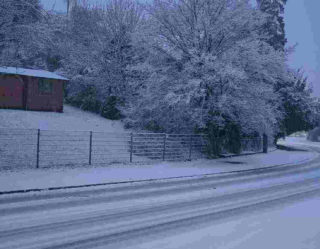 Der Winter in Deutschland fiel erneut deutlich zu warm aus Der Winter in Deutschland fiel erneut deutlich zu warm aus