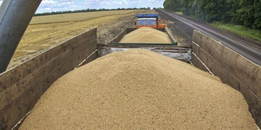 Polen verbietet Getreide- und Lebensmittelimporte aus der Ukraine