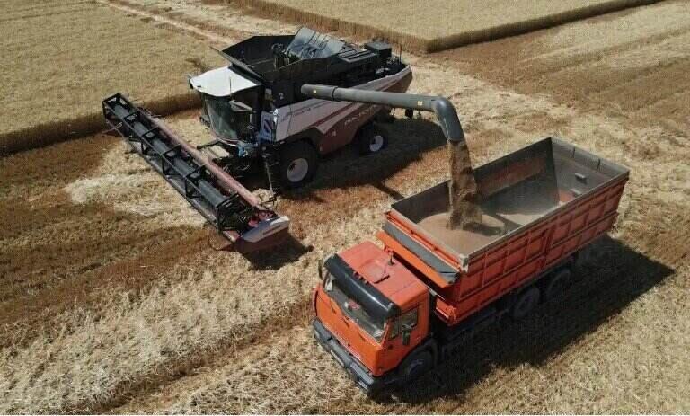 Hedgefonds machen 1,9 Millarden Dollar Gewinn aus dem Anstieg der Nahrungsmittelpreise durch den Ukraine-Krieg