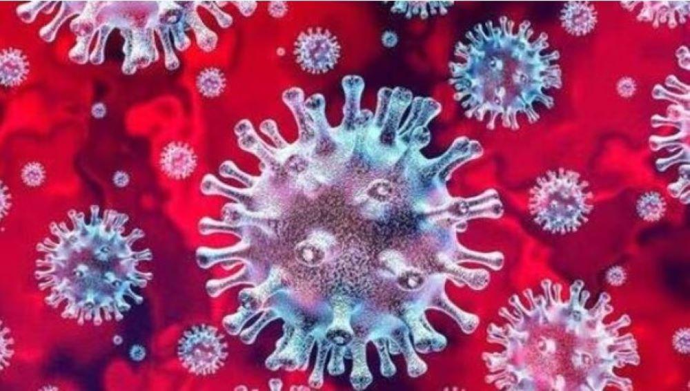 Durch Infektionen und Impfungen hat Coronavirus seinen Schrecken verloren Durch Infektionen und Impfungen hat Coronavirus seinen Schrecken verloren