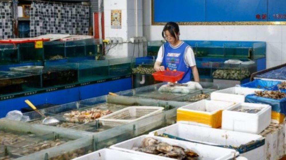 Das faule Geschäft mit Chinas Empörung über die Freisetzung von aufbereitetem Wasser von Japans AKW Fukushima Das faule Geschäft mit Chinas Empörung über die Freisetzung von aufbereitetem Wasser von Japans AKW Fukushima