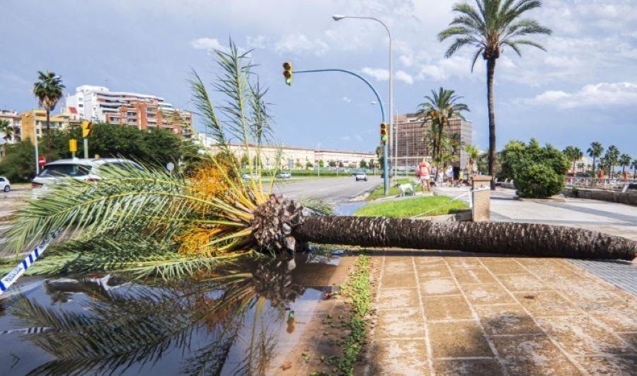Hunderte von Touristen verbringen Nacht im Flughafen Palma de Mallorca wegen Unwetter Hunderte von Touristen verbringen Nacht im Flughafen Palma de Mallorca wegen Unwetter