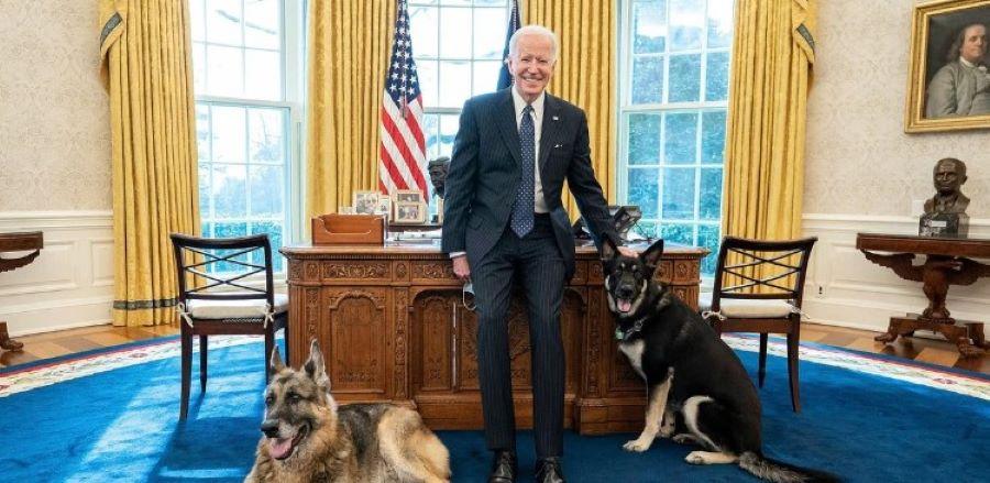 Schäferhund der Familie Biden "Commander" beißt einen weiteren Secret-Service-Agenten Schäferhund der Familie Biden "Commander" beißt einen weiteren Secret-Service-Agenten