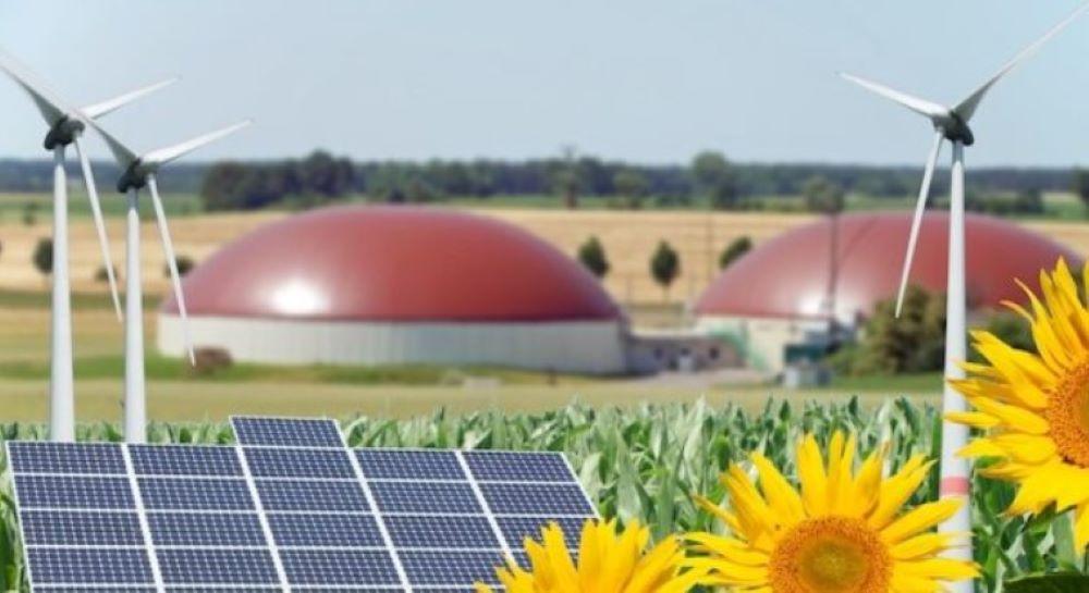 Unterschätzter Alleskönner: Welche Rolle die Bioenergie in Deutschland spielt Unterschätzter Alleskönner: Welche Rolle die Bioenergie in Deutschland spielt