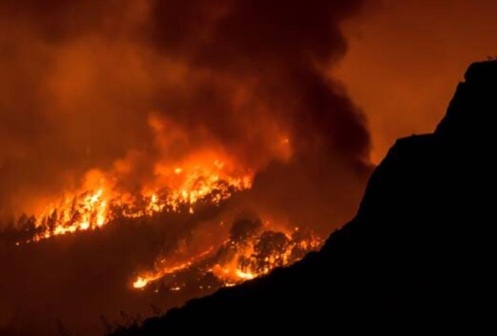 Sechs portugisische Jugendliche wollen 32 europäische Länder wegen Klimapolitik vor Gericht bringen