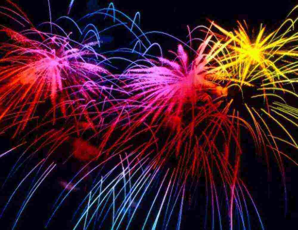 Grüne wollen Silvesterfeuerwerk einfacher einschränken lassen