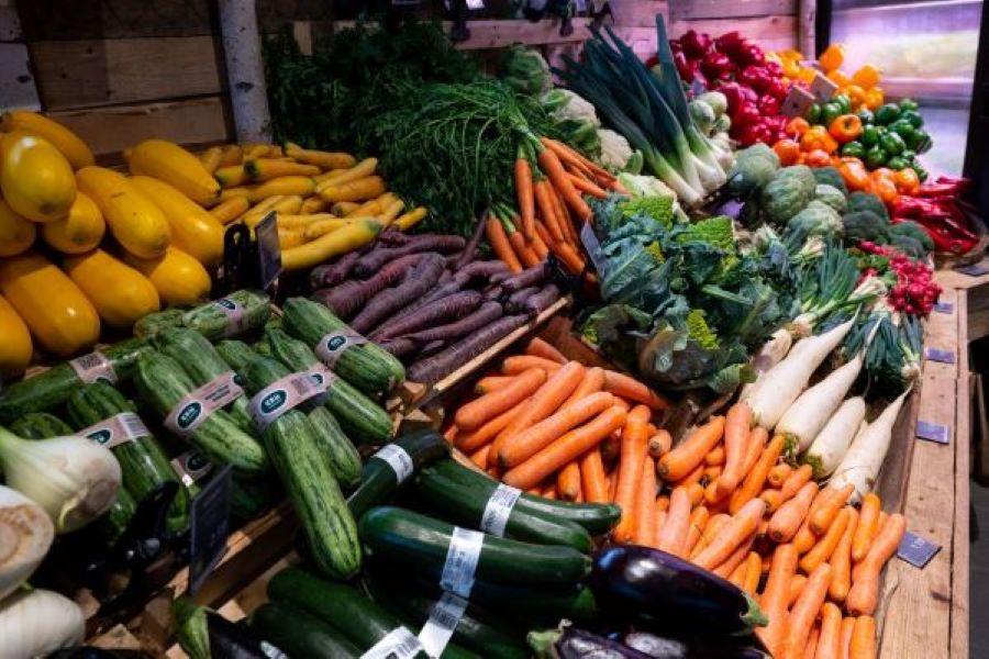 Lebensmittelabfälle bis 2030 halbieren - Verbraucherzentrale regt praktische Änderungen im Supermarkt an Lebensmittelabfälle bis 2030 halbieren - Verbraucherzentrale regt praktische Änderungen im Supermarkt an