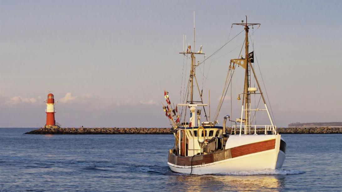 Wenig Hoffnung auf sinkende Preise Hohe Preise hemmen den Appetit deutscher Verbraucher von Fisch und Meeresfrüchten