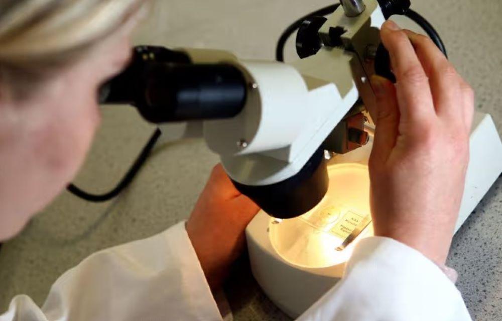 Dutzende Influenza-Todesfälle waren in der vergangenen Saison registriert worden Thüringen: 26 labordiagnostisch bestätigte Fälle von Virusgrippe