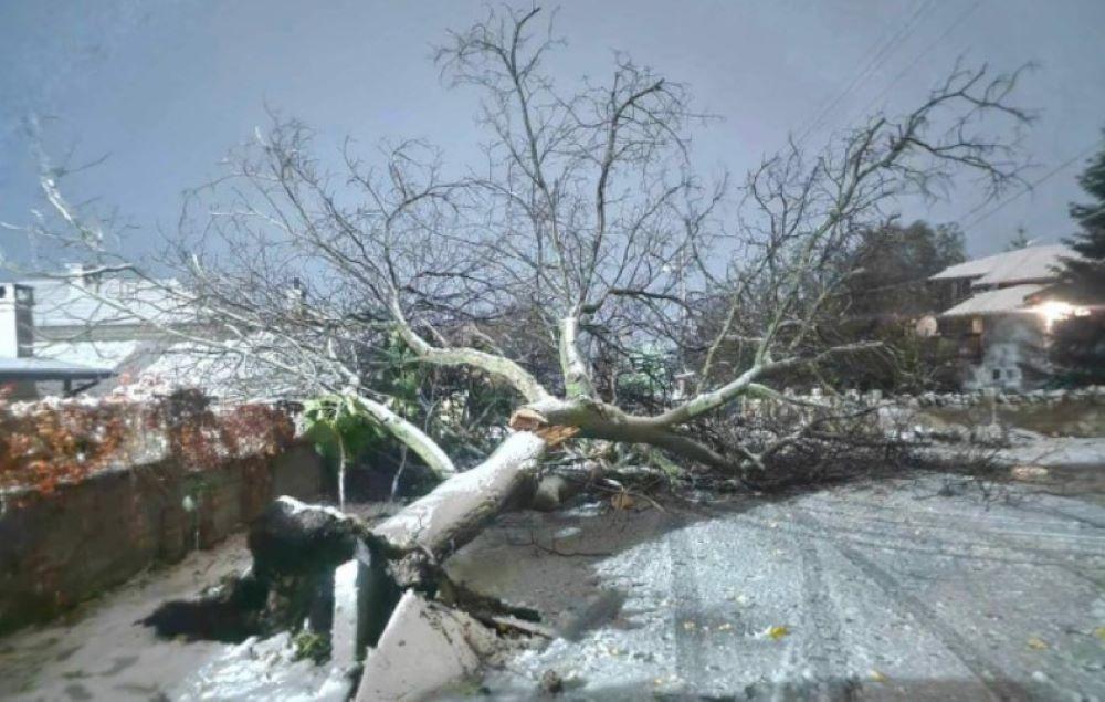 Bulgarische Meteorologen warnten am Sonntag vor gefährlichem Wetter für den größten Teil Ostbulgariens mit Windgeschwindigkeiten von bis zu 125 km/h. Aufgrund der sinkenden Temperaturen wird erwartet, dass der starke Regen in Schnee übergeht. Extremes Wetter in Bulgarien sorgt für Stromausfälle