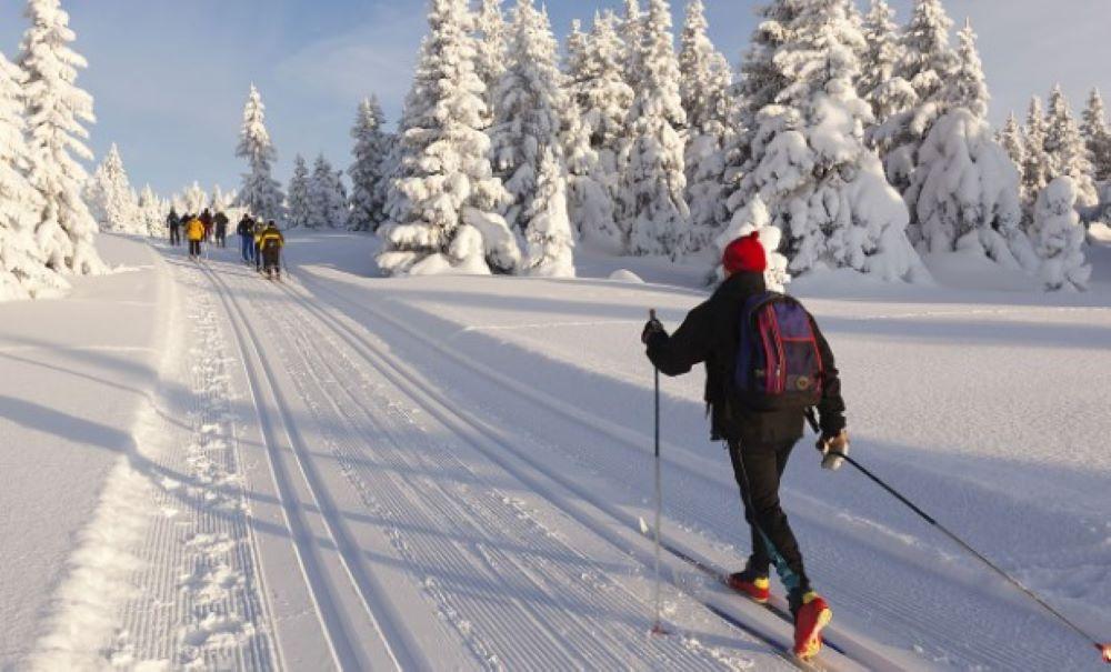 Du willst dieses Weihnachten auf jeden Fall Schnee haben? Wir verraten dir, wo du in Deutschland die besten Chancen darauf hast. Außerdem stellen wir uns der Frage, ob es früher tatsächlich häufiger geschneit hat als heute. Schnee in Deutschland: Wo du gute Chancen auf weiße Weihnacht hast