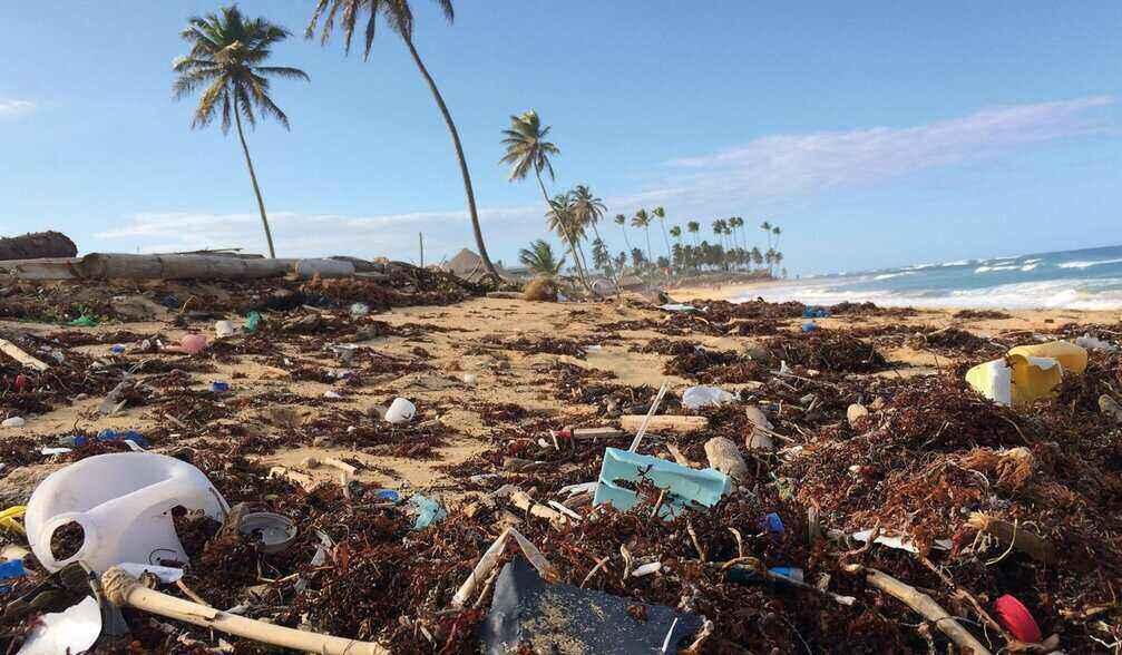 Experten fordern Aufräumtechnologien nur in Fällen von extrem verschmutzten Ökosystemen in Betracht zu ziehen Kritik an Clean-Up-Projekten - Umweltaktivisten fordern Fokus auf Vermeidung der Plastikverschmutzung im Meer