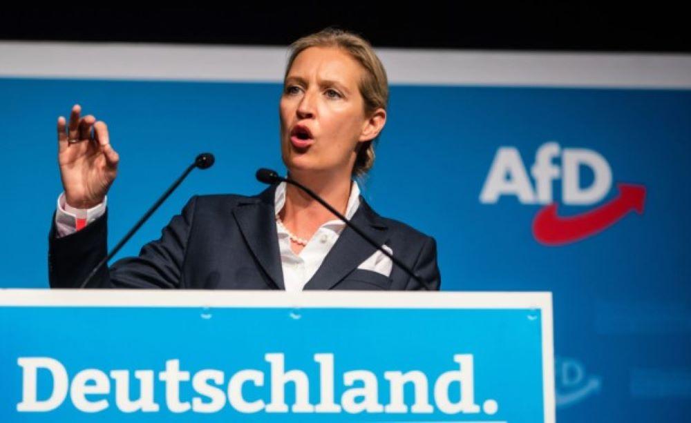Bislang ist die AfD mit neun Abgeordneten im Europaparlament vertreten. AfD-Chefin Alice Weidel