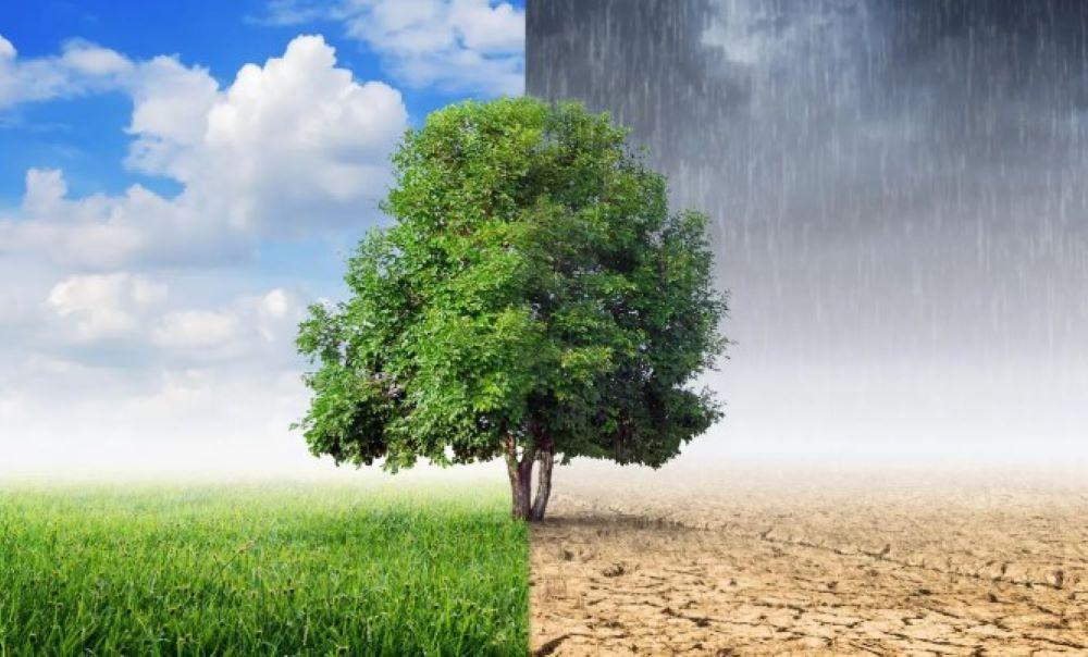 Extreme Hitze: Die unsichtbare Gefahr des Klimawandels