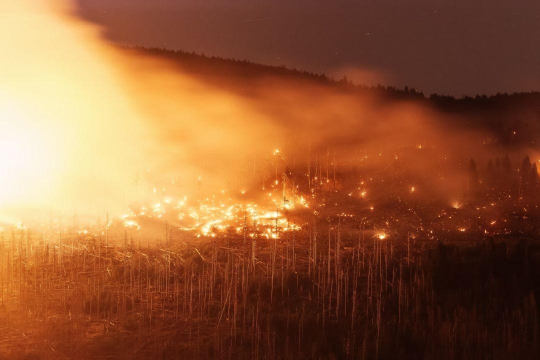 Die derzeitige Situation zeigt die verheerenden Auswirkungen der Klimakrise auf die Länder Südeuropas und des Balkans. Die Brände und die extreme Hitze bedrohen nicht nur die Natur, sondern auch die Gesundheit und das Leben der Menschen in diesen Regionen Feueralarm auf dem Balkan: Bulgariens Feuerwalze breitet sich aus