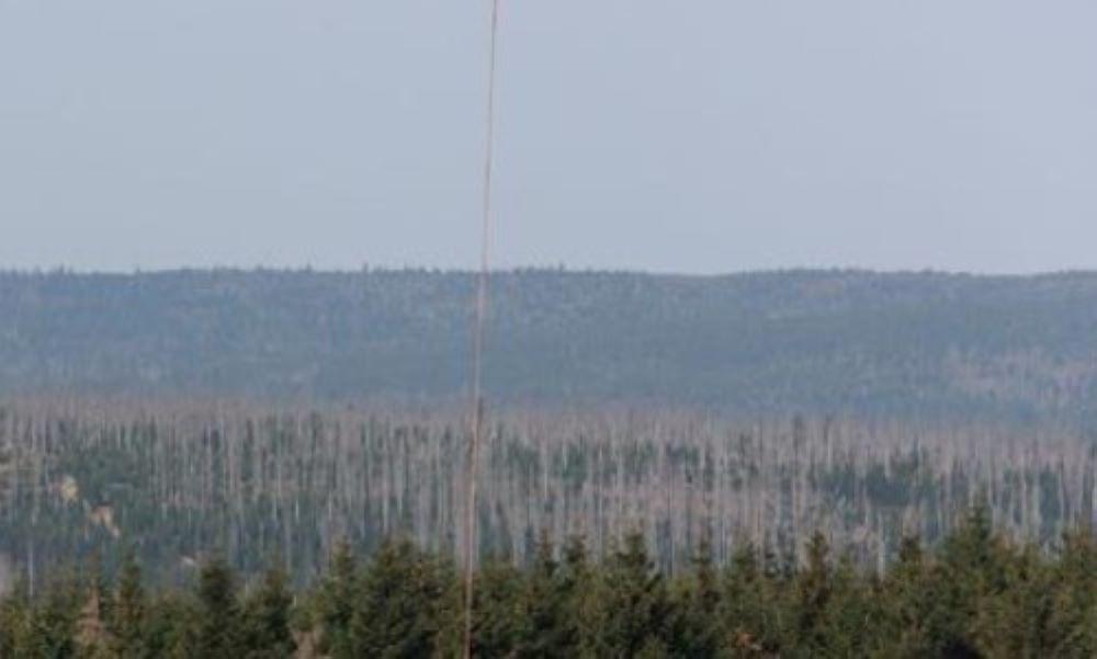 Aktuell gibt es noch drei aktive Brandstellen, die von den Einsatzkräften bearbeitet werden. Zwei zusätzliche Verdachtsflächen werden mit Hilfe von Drohnen und Wärmebildkameras untersucht. Der Leiter des Krisenstabes, Immo Kramer, kündigte an, dass auch weiterhin Löschflugzeuge zum Einsatz kommen könnten, jedoch derzeit die Sichtbedingungen zu schlecht sind. "Wir hoffen, dass das Wetter am Nachmittag besser wird", sagte Kramer. Brocken-Brand unter Kontrolle – Doch der Verdacht auf Brandstiftung bleibt