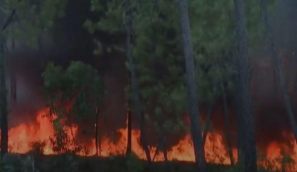 Portugal hat bereits in der Vergangenheit unter schweren Waldbränden gelitten, besonders im Jahr 2017, als über 120 Menschen ums Leben kamen und mehr als eine halbe Million Hektar Land verbrannten. Die aktuelle Situation erinnert schmerzhaft an diese Katastrophe und verstärkt die Dringlichkeit von Maßnahmen zum Schutz und zur Vorsorge. Portugal in Flammen: EU-Länder mobilisieren Ressourcen zur Unterstützung bei verheerenden Waldbränden