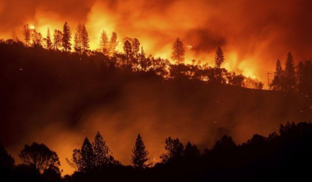 Feuerwalze in Kalifornien: Mehr als 190 Quadratkilometer Land in Flammen